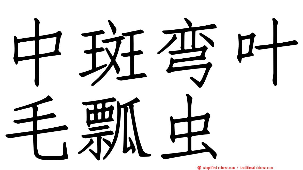 中斑弯叶毛瓢虫