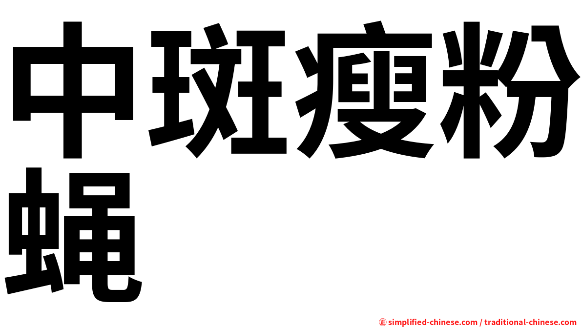 中斑瘦粉蝇