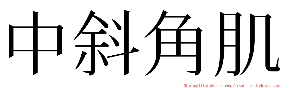 中斜角肌 ming font