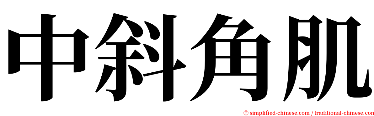 中斜角肌 serif font
