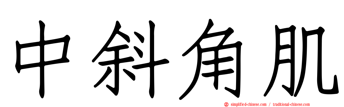 中斜角肌