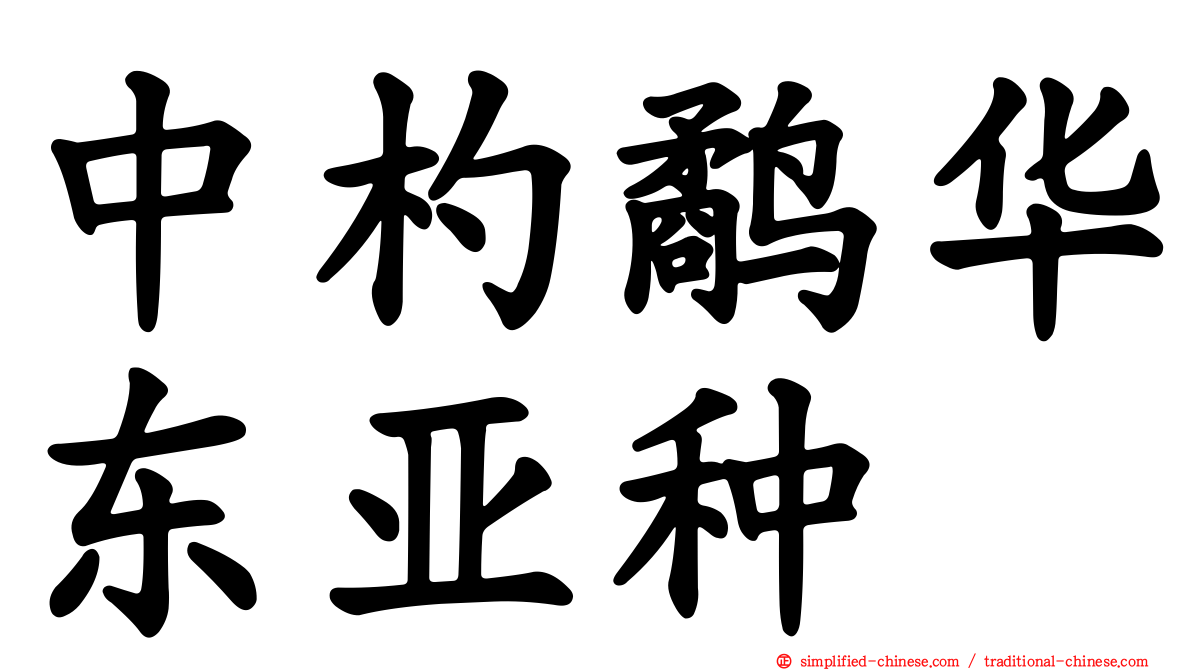 中杓鹬华东亚种