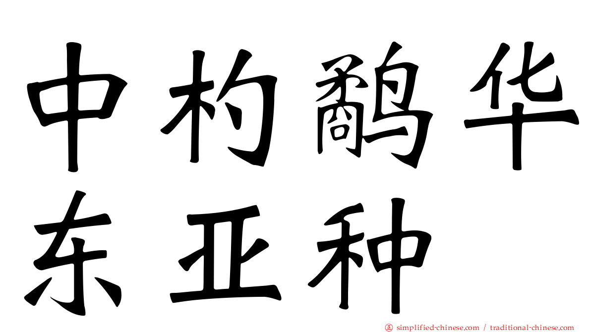 中杓鹬华东亚种