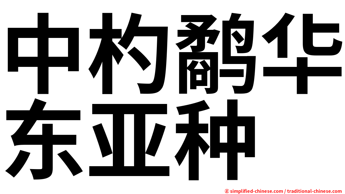 中杓鹬华东亚种