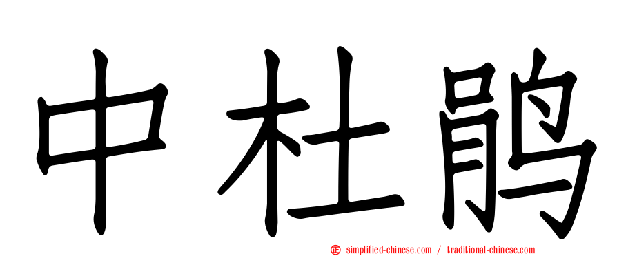 中杜鹃
