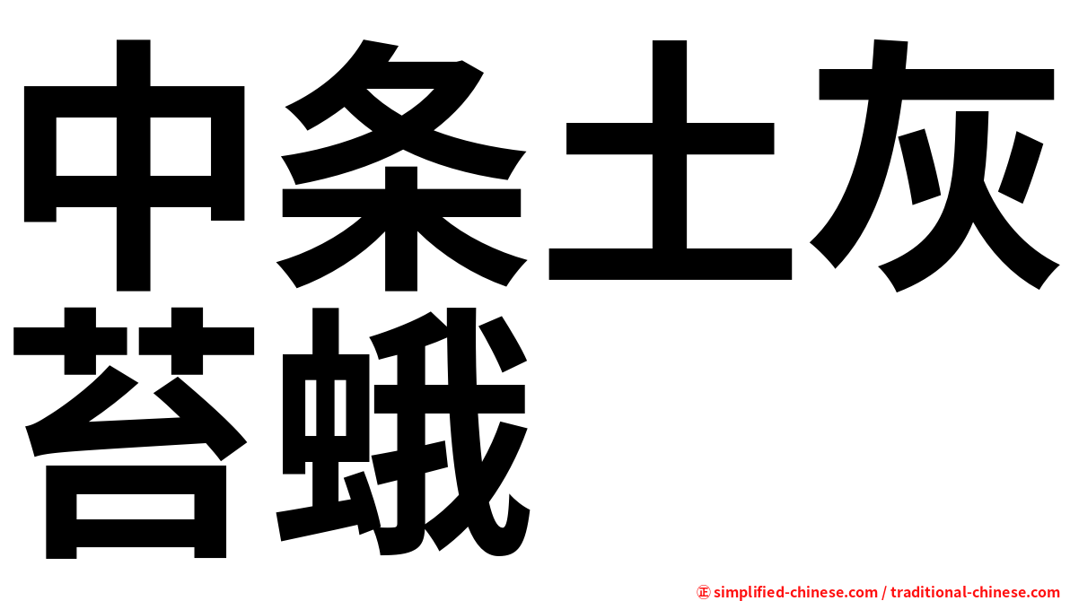 中条土灰苔蛾