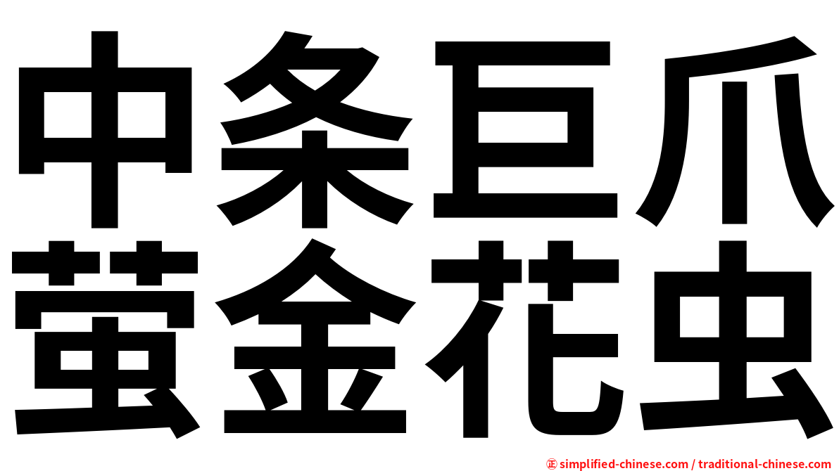 中条巨爪萤金花虫