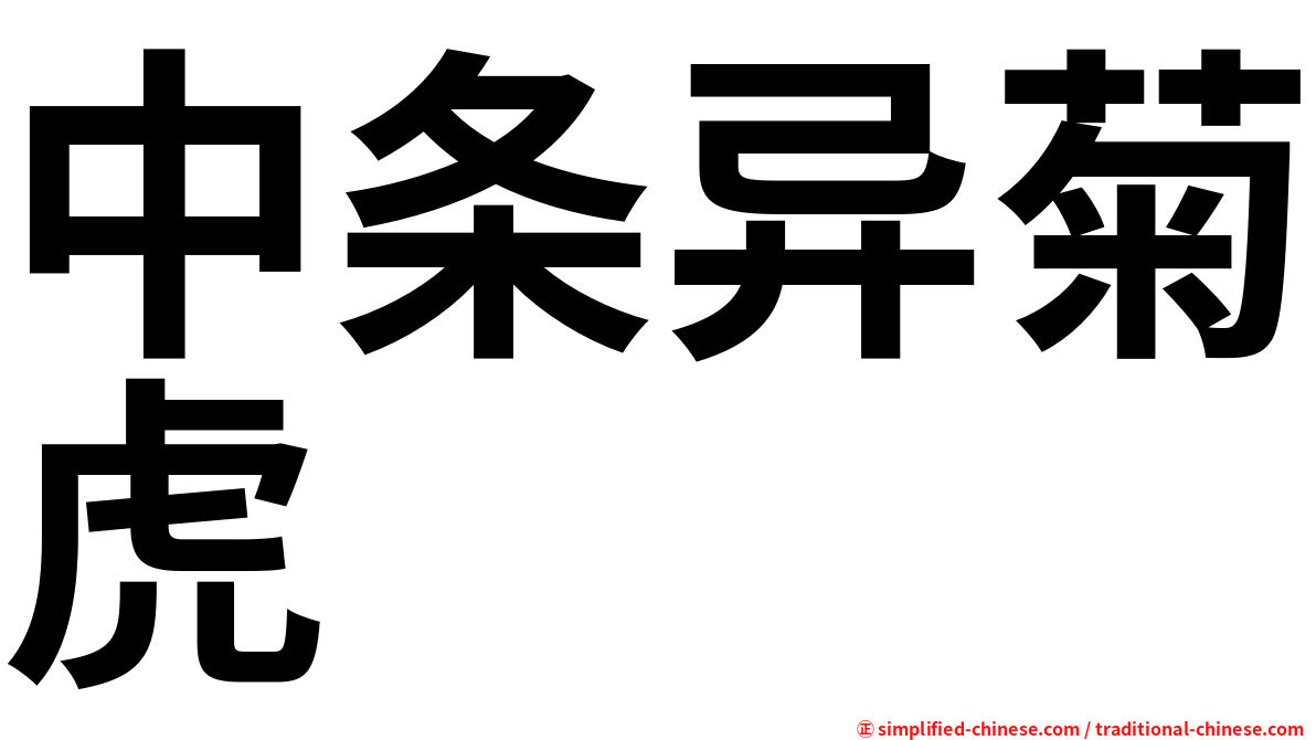 中条异菊虎