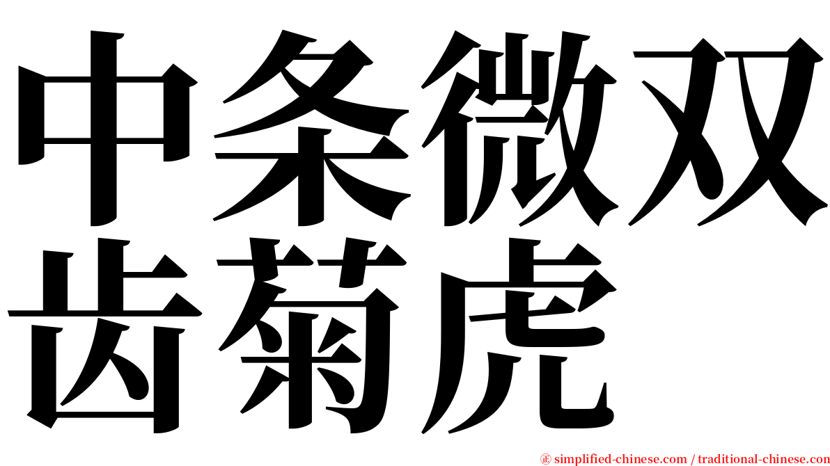中条微双齿菊虎 serif font