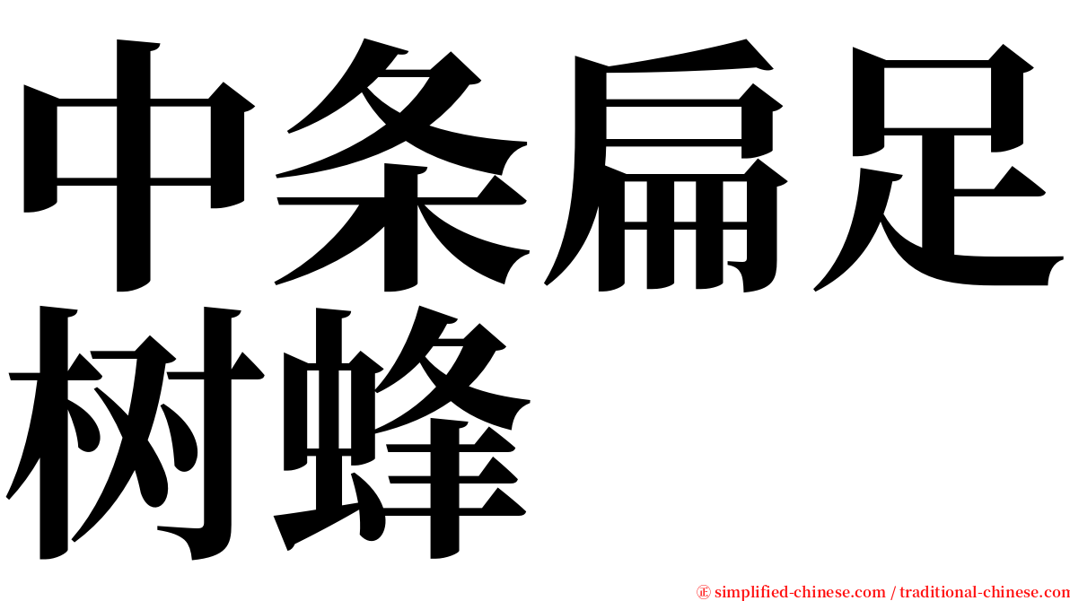 中条扁足树蜂 serif font