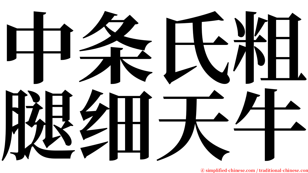 中条氏粗腿细天牛 serif font