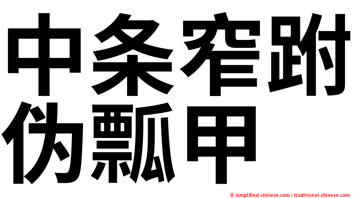 中条窄跗伪瓢甲
