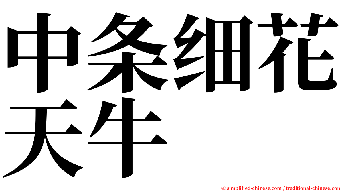 中条细花天牛 serif font