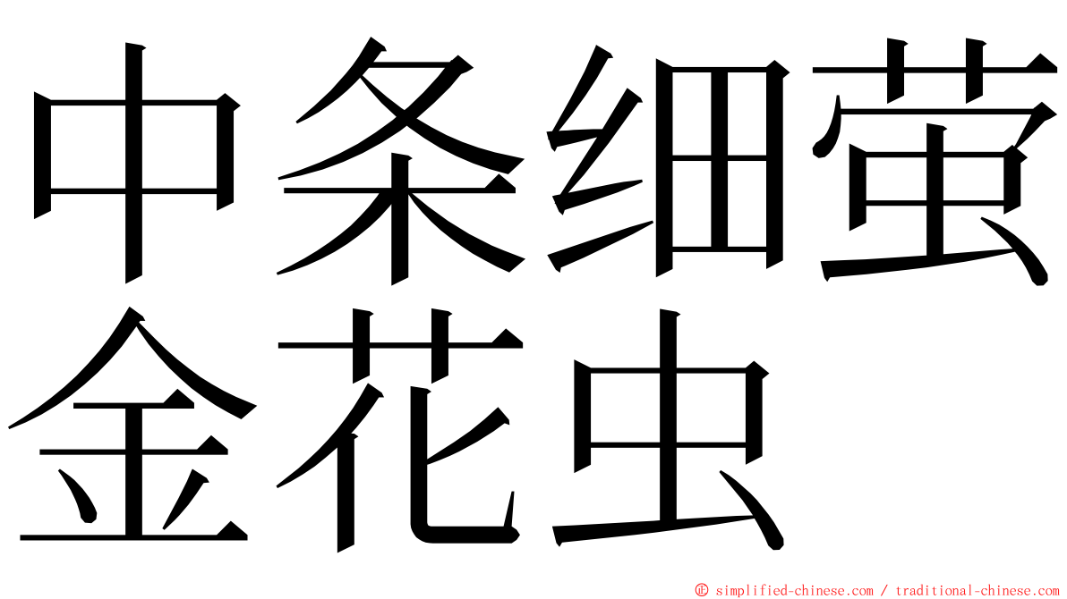 中条细萤金花虫 ming font