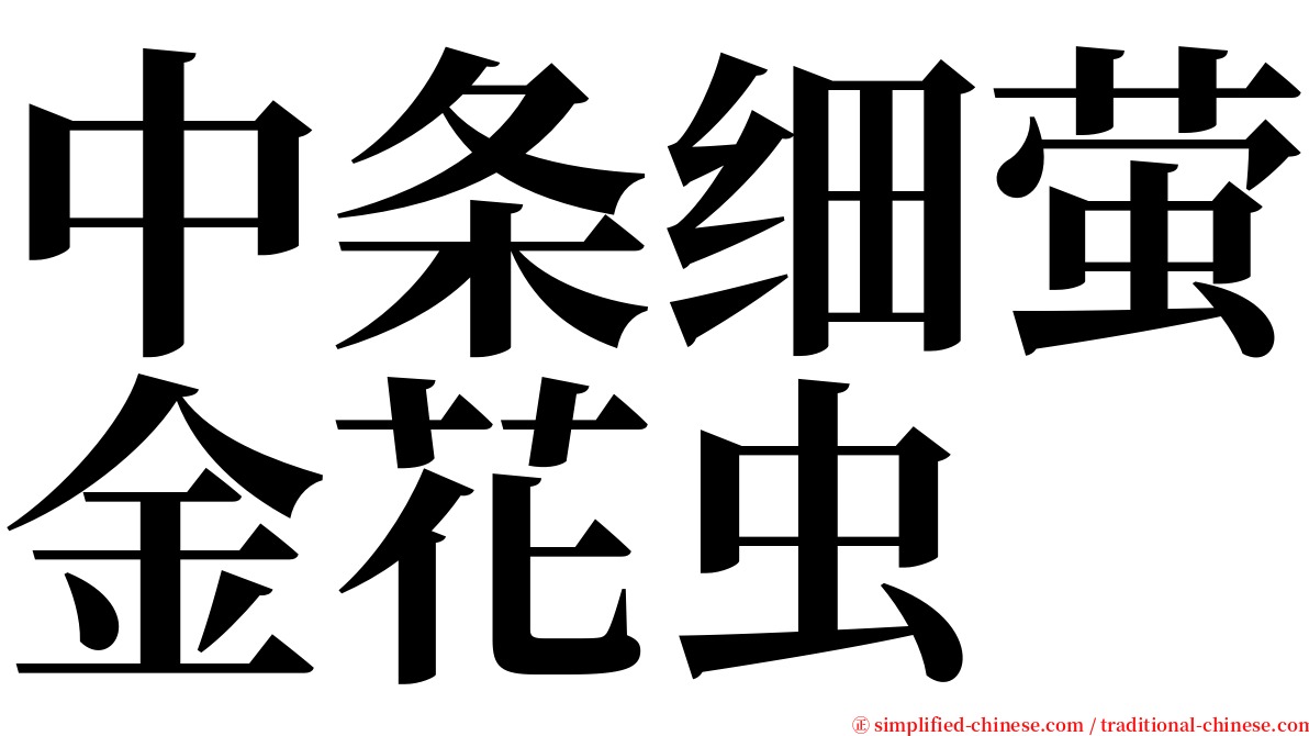 中条细萤金花虫 serif font