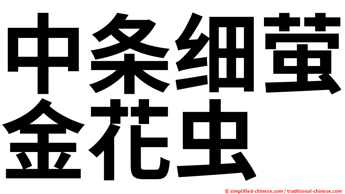 中条细萤金花虫