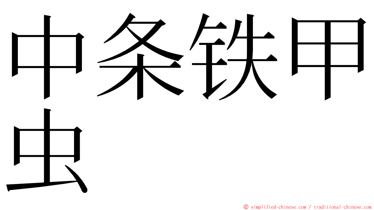 中条铁甲虫 ming font