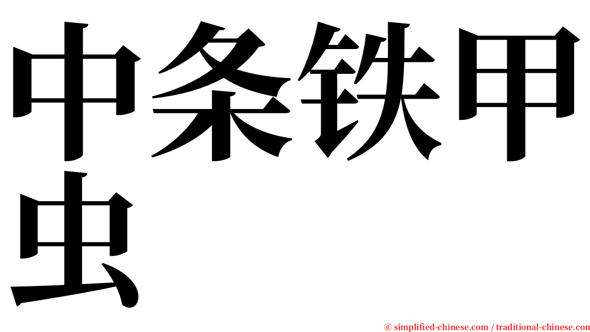 中条铁甲虫 serif font