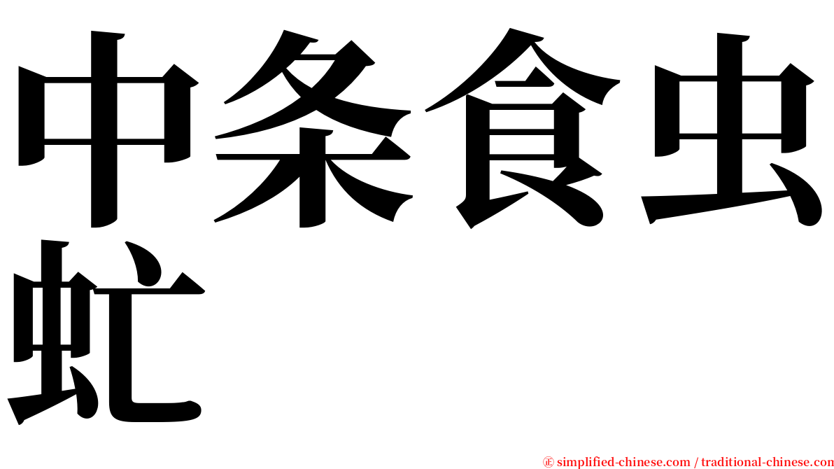 中条食虫虻 serif font