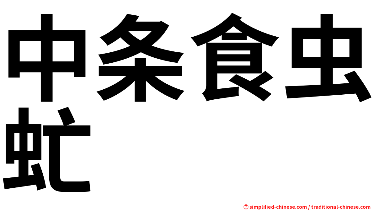 中条食虫虻