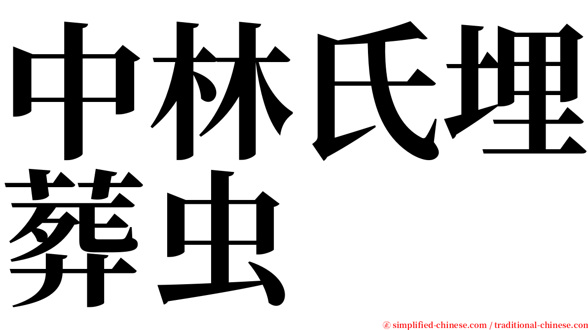 中林氏埋葬虫 serif font