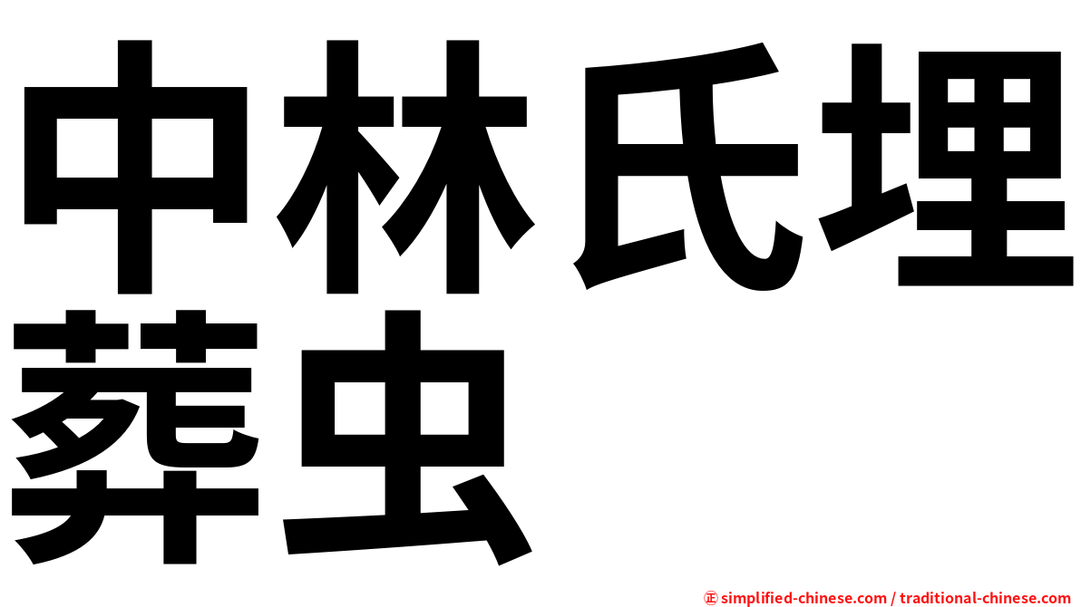 中林氏埋葬虫