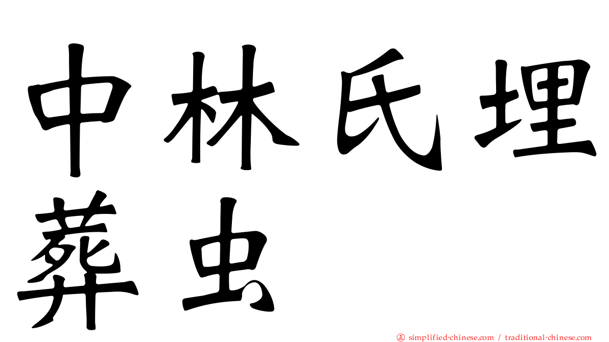 中林氏埋葬虫