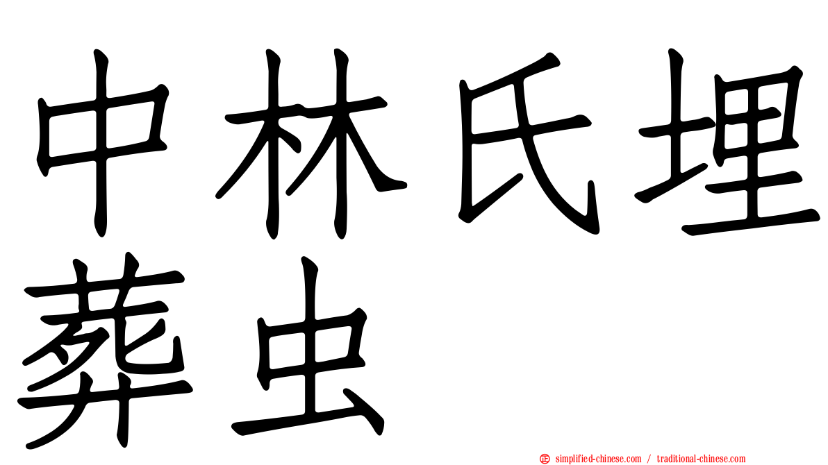 中林氏埋葬虫