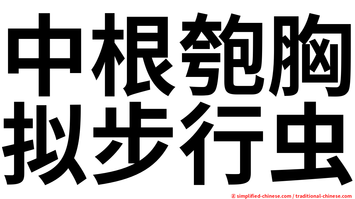 中根匏胸拟步行虫