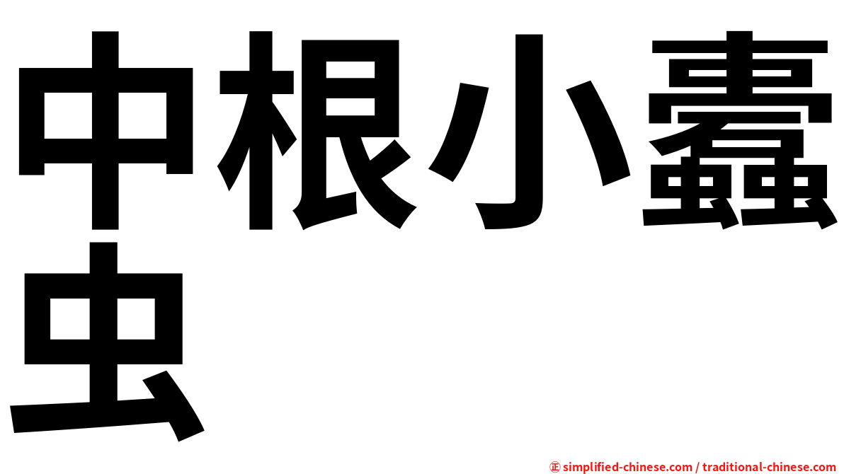 中根小蠹虫