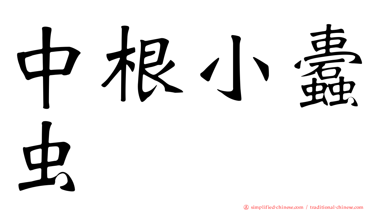 中根小蠹虫