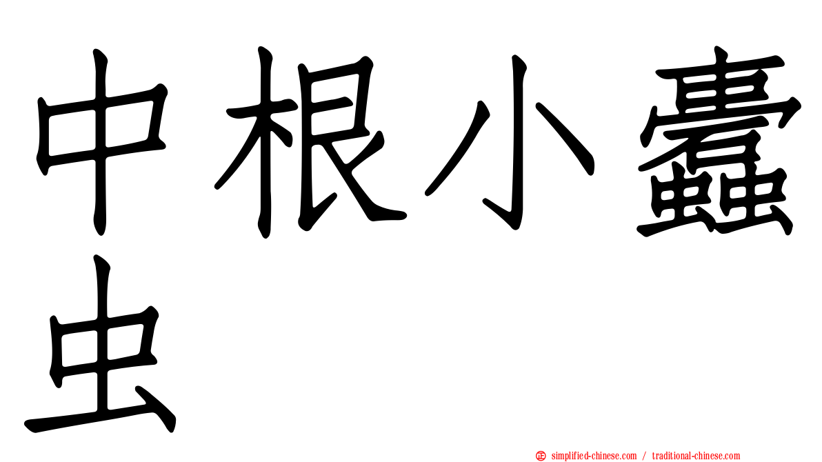 中根小蠹虫