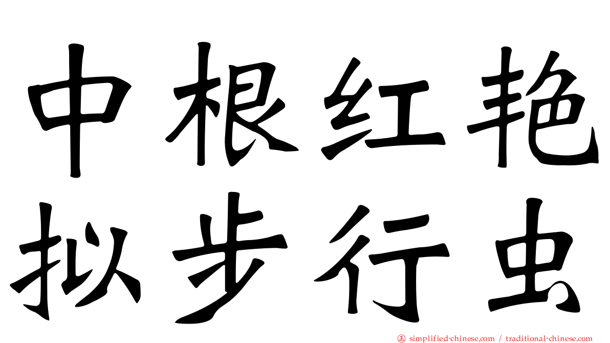 中根红艳拟步行虫