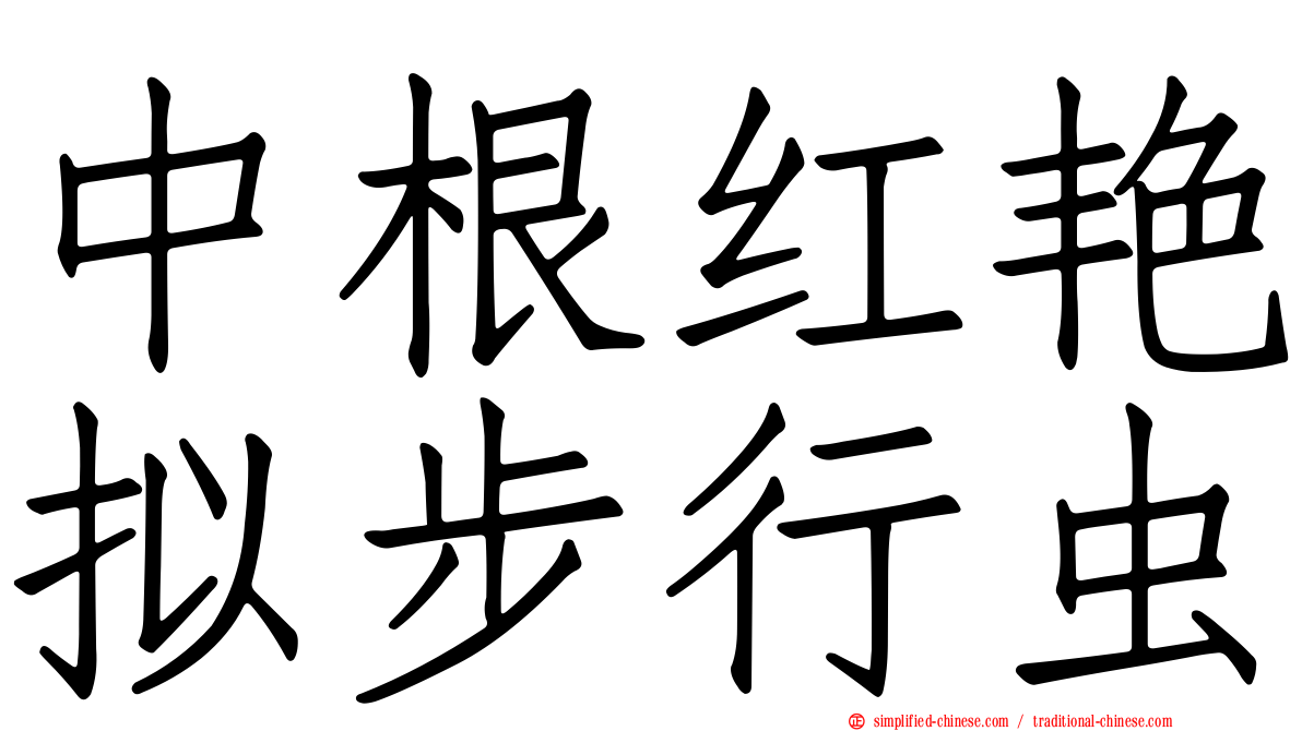 中根红艳拟步行虫