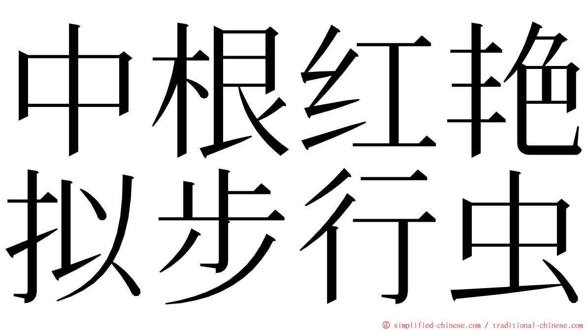 中根红艳拟步行虫 ming font