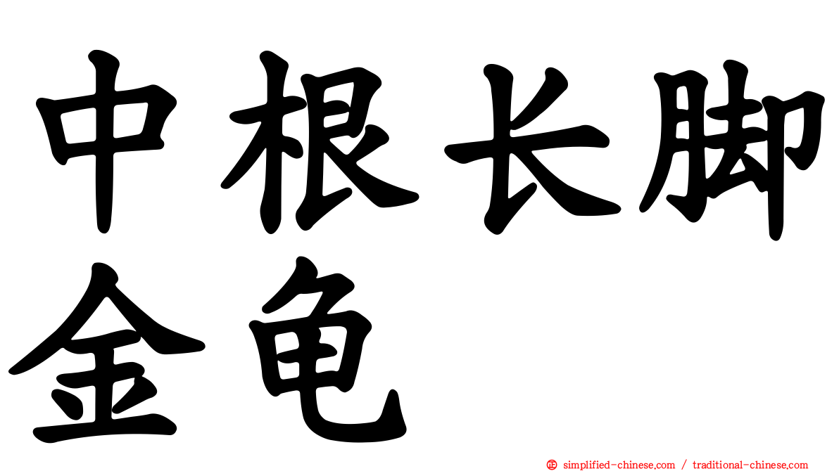 中根长脚金龟
