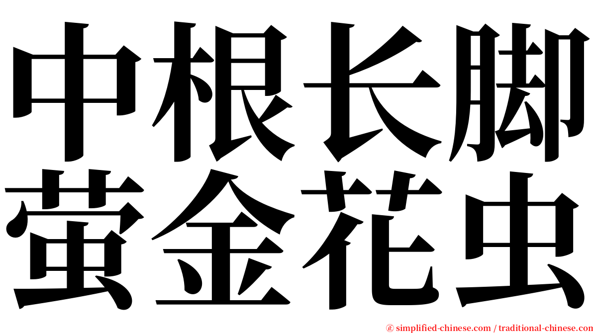 中根长脚萤金花虫 serif font