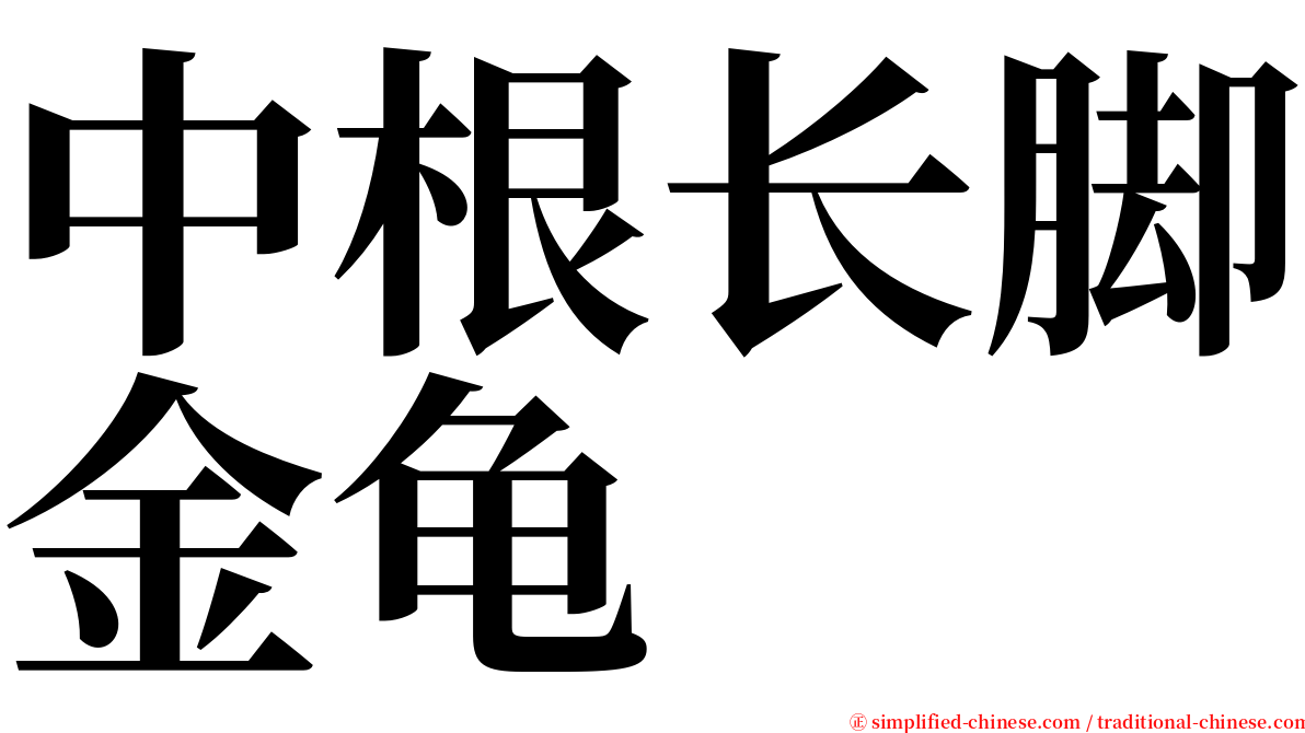 中根长脚金龟 serif font