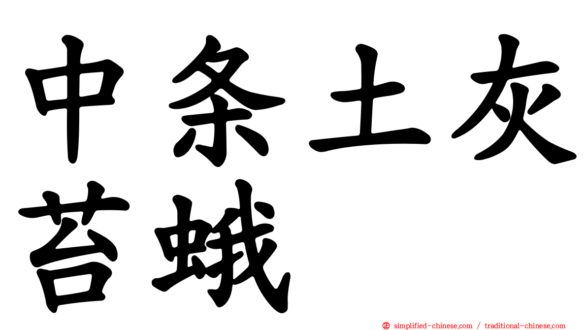中条土灰苔蛾