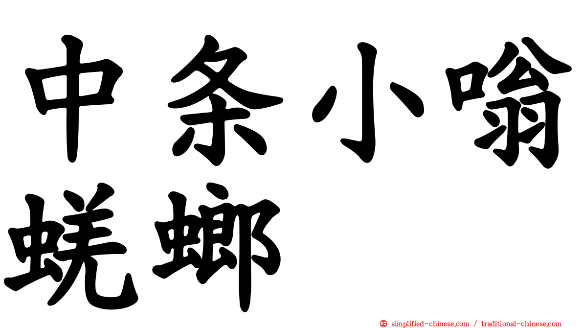 中条小嗡蜣螂