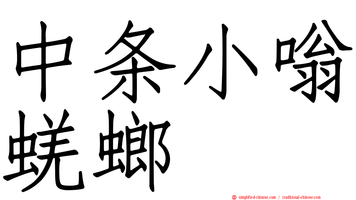 中条小嗡蜣螂