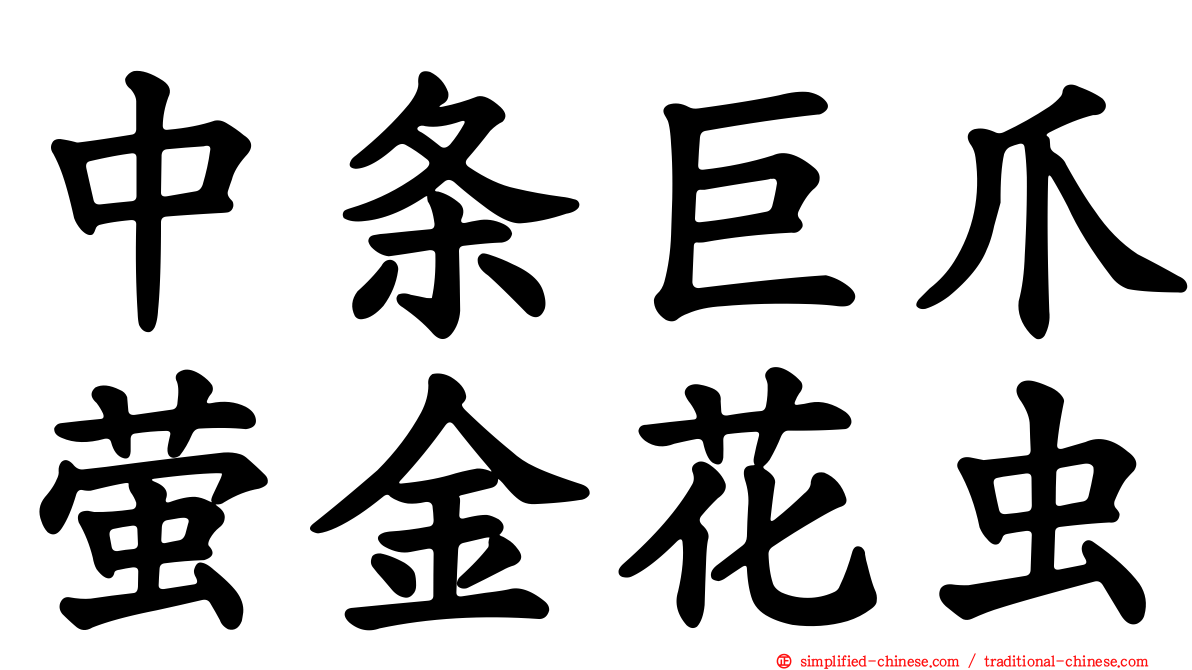 中条巨爪萤金花虫