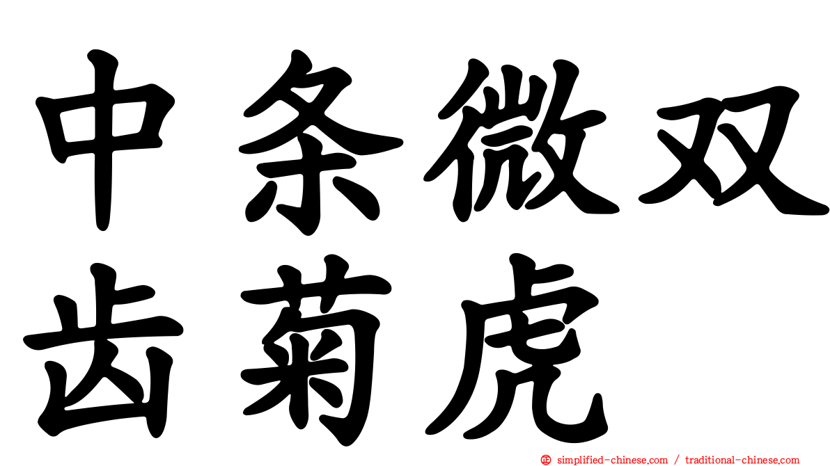 中条微双齿菊虎