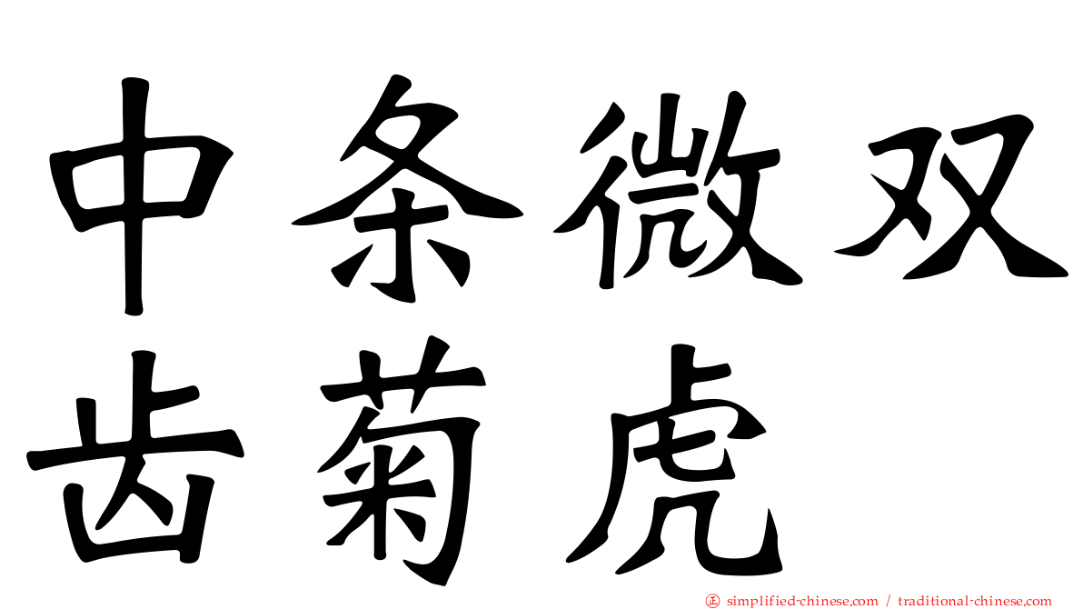 中条微双齿菊虎