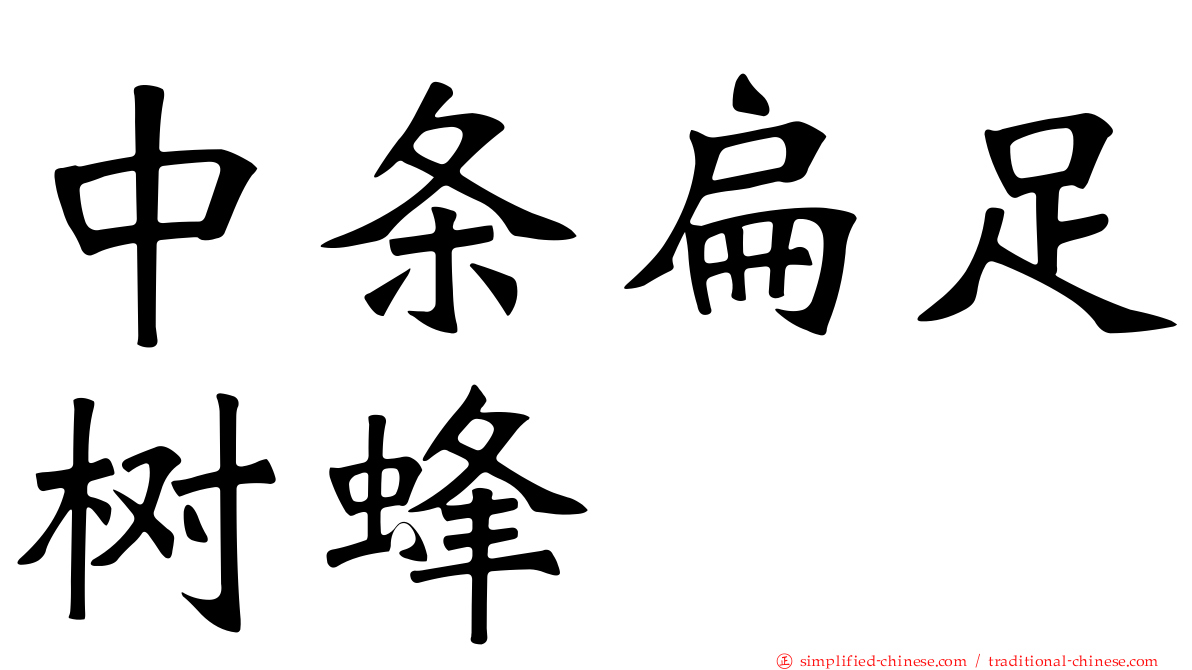 中条扁足树蜂