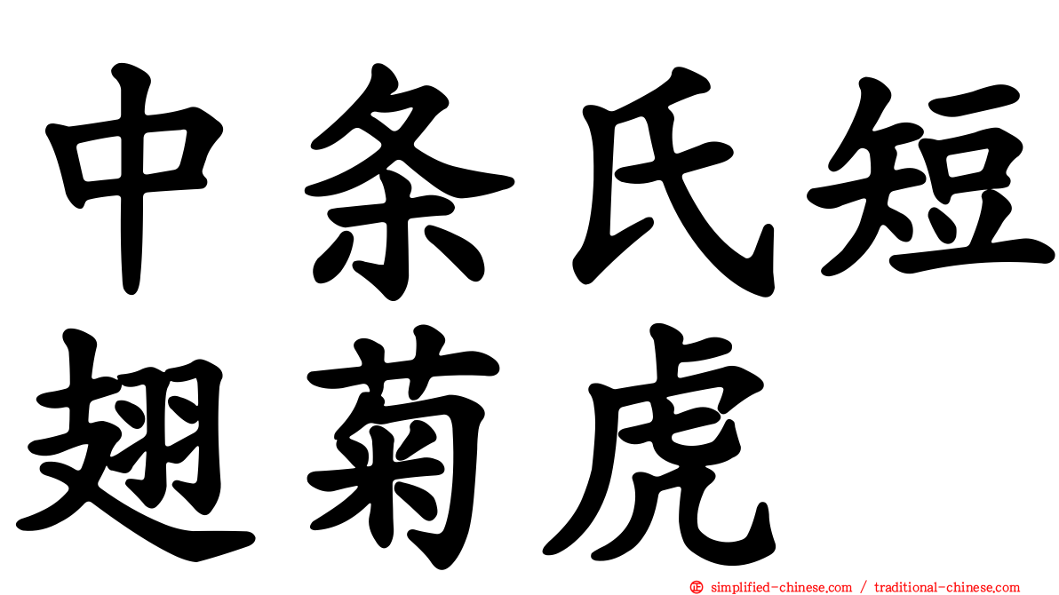 中条氏短翅菊虎