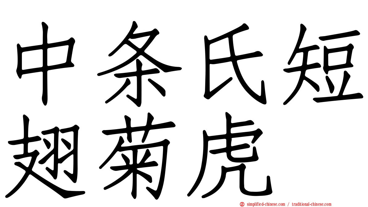 中条氏短翅菊虎
