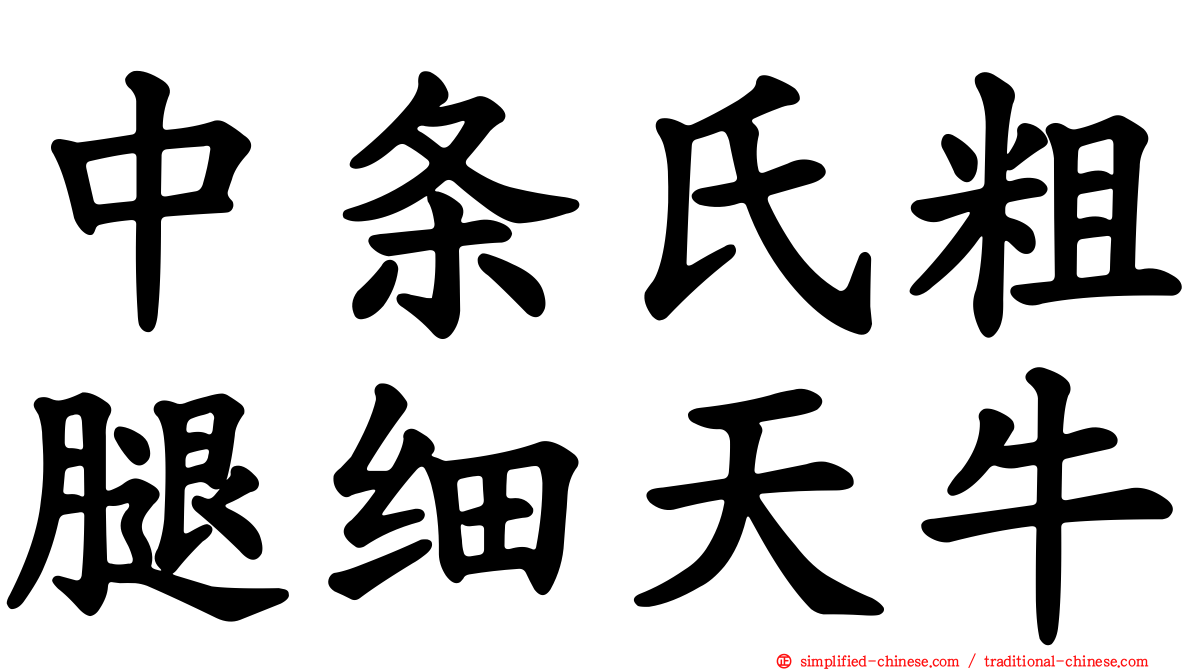 中条氏粗腿细天牛