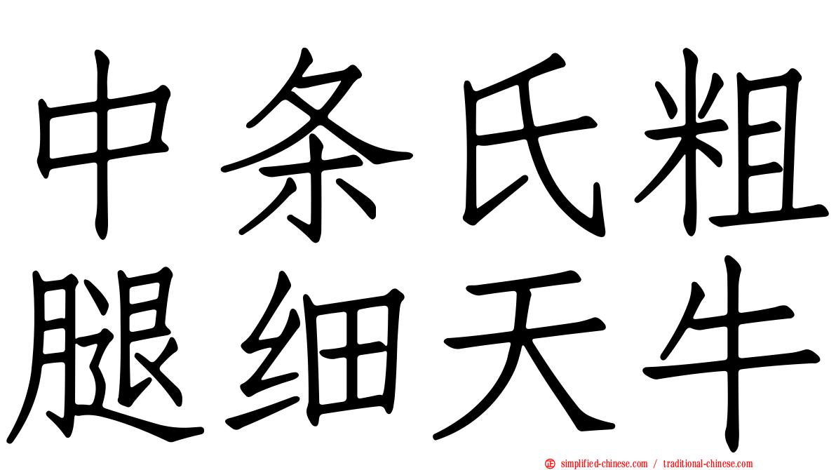中条氏粗腿细天牛