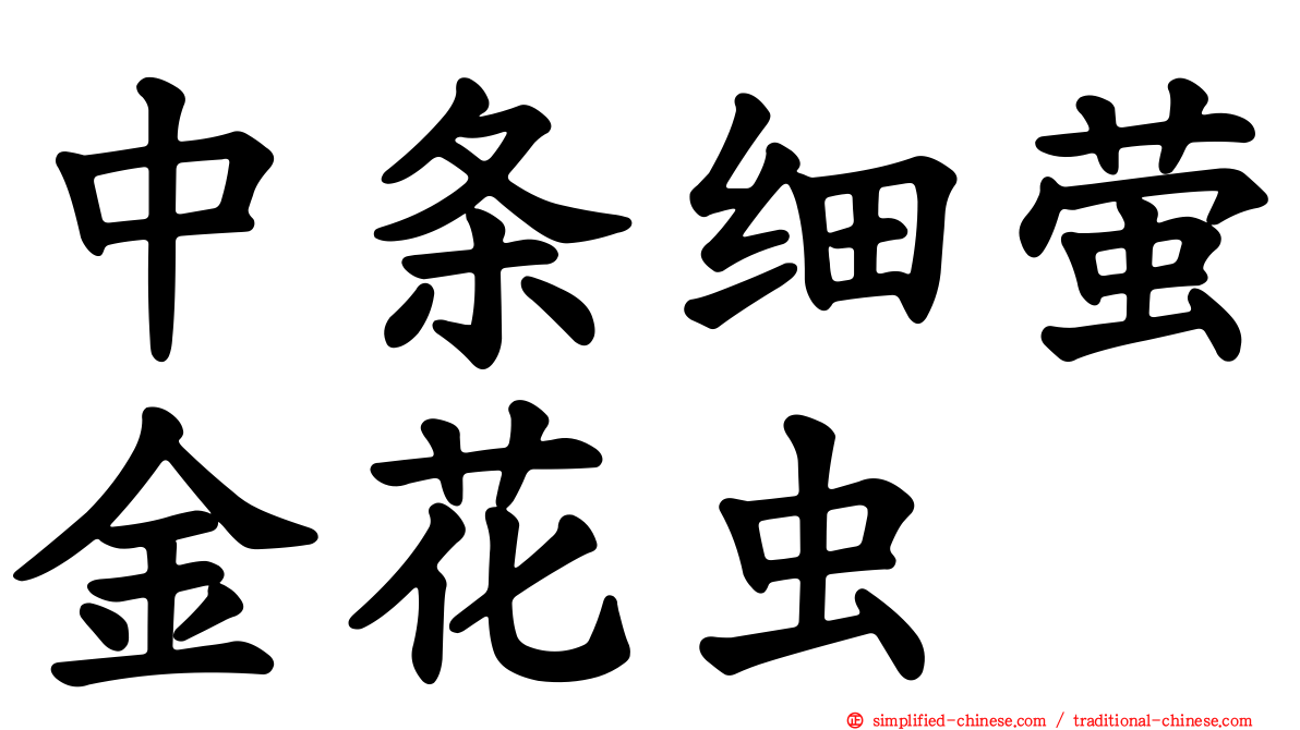 中条细萤金花虫